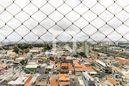 Vista da Varanda da Sala de apartamento à venda com 2 quartos, 52m² em Vila Liviero, São Paulo