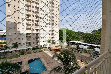 Varanda - Vista de apartamento para alugar com 3 quartos, 71m² em Vila Nova, Campinas