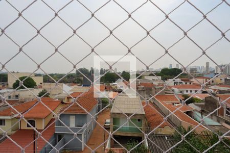 Vista da varanda de apartamento para alugar com 3 quartos, 110m² em Carandiru, São Paulo