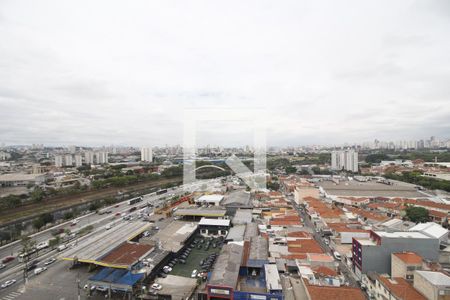 Vista da Sacada de apartamento para alugar com 2 quartos, 55m² em Alto do Pari, São Paulo