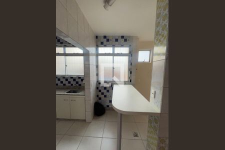 Cozinha de apartamento para alugar com 3 quartos, 195m² em Nova Suíssa, Belo Horizonte