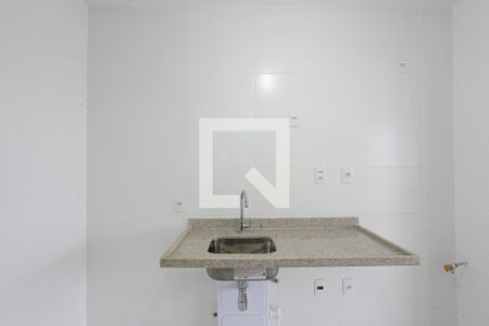 Cozinha de apartamento para alugar com 2 quartos, 65m² em Vila Zilda, São Paulo