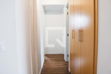 Corredor de apartamento para alugar com 3 quartos, 77m² em Parque Mandaqui, São Paulo