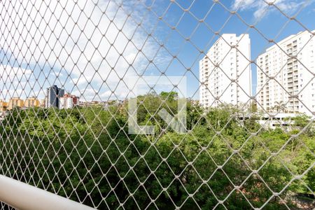 Vista da Varanda da Sala de apartamento para alugar com 2 quartos, 47m² em Vila Maracanã, São Paulo