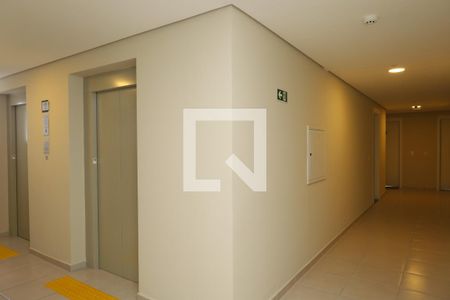 Área comum de apartamento para alugar com 2 quartos, 45m² em Vila Norma, São Paulo