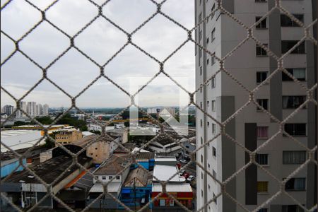 Vista do Quarto 1 de apartamento para alugar com 2 quartos, 36m² em Vila das Bandeiras, Guarulhos