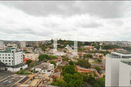 Vista de apartamento à venda com 3 quartos, 149m² em Nova Suíça, Belo Horizonte