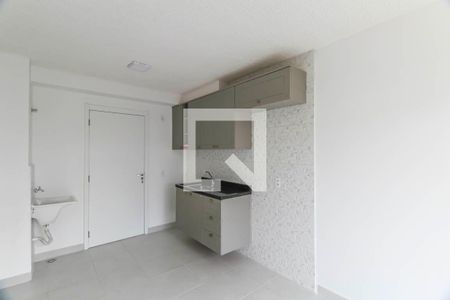 Cozinha de apartamento para alugar com 2 quartos, 35m² em Vila Graciosa, São Paulo