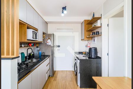 Cozinha de apartamento para alugar com 1 quarto, 29m² em Vila das Belezas, São Paulo