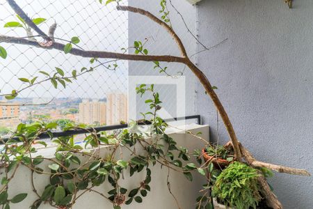 Varanda da Sala de apartamento para alugar com 2 quartos, 54m² em Vila das Belezas, São Paulo