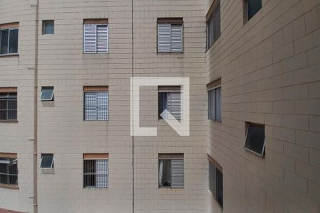 Vista do Quarto 1 de apartamento para alugar com 2 quartos, 85m² em Jardim Paulicéia, Campinas