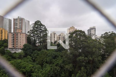 Vista da Varanda da Sala de apartamento à venda com 3 quartos, 74m² em Vila Andrade, São Paulo