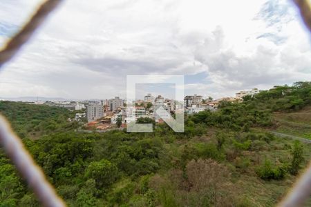 Vista do quarto de apartamento para alugar com 2 quartos, 70m² em Cabral, Contagem