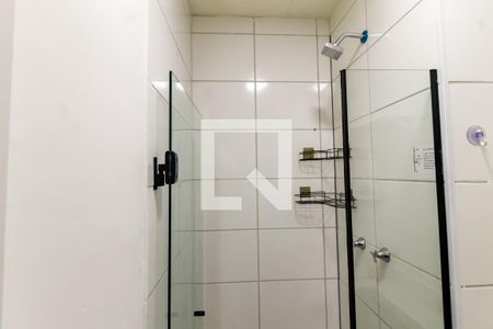 Banheiro  de apartamento para alugar com 2 quartos, 42m² em Vila Plana, São Paulo