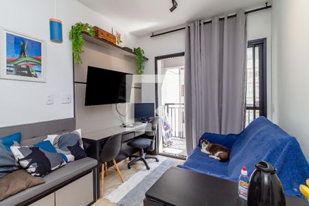 Sala de apartamento para alugar com 1 quarto, 32m² em Perdizes, São Paulo