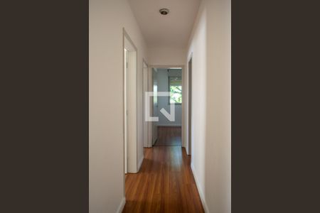 Corredor de apartamento para alugar com 3 quartos, 71m² em Cavalhada, Porto Alegre