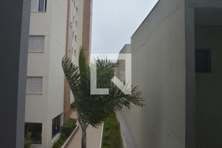 Vista do Quarto 1 de apartamento para alugar com 2 quartos, 140m² em Vila Pires, Santo André