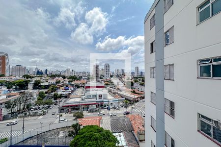 Vista do Quarto 1 de apartamento para alugar com 2 quartos, 80m² em Vila Monumento, São Paulo