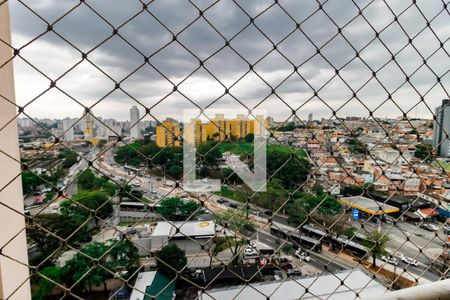 Vista da Varanda de apartamento para alugar com 3 quartos, 76m² em Vila das Belezas, São Paulo