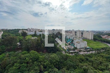 Vista do Quarto 1 de apartamento para alugar com 3 quartos, 75m² em Chácara Prado, Campinas