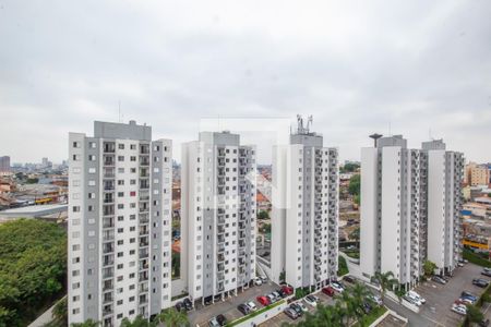 Vista do Quarto 1 de apartamento à venda com 2 quartos, 53m² em Jardim Roberto, Osasco