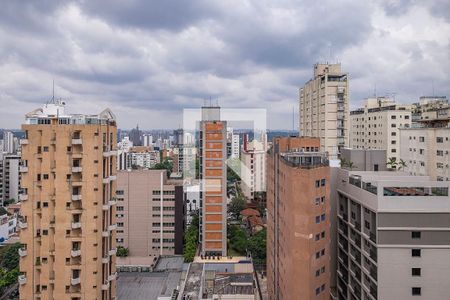 Sala - Vista Varanda de apartamento para alugar com 1 quarto, 45m² em Sumarezinho, São Paulo