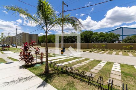 Vista da Varanda da Sala de apartamento para alugar com 2 quartos, 50m² em Inhoaíba, Rio de Janeiro