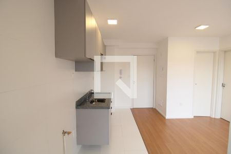 Sala / Cozinha de apartamento para alugar com 2 quartos, 39m² em Vila Paulicéia, São Paulo