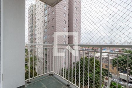 Varanda de apartamento para alugar com 2 quartos, 59m² em Quinta da Paineira, São Paulo