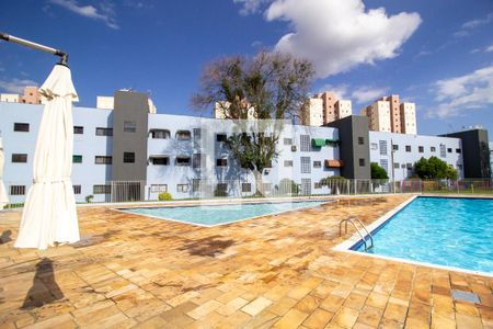 Área comum - Piscina de apartamento para alugar com 2 quartos, 82m² em Vila Odim Antao, Sorocaba