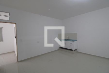 Cozinha de apartamento para alugar com 1 quarto, 28m² em Vila Santana, São Paulo