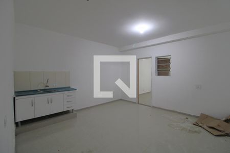 Cozinha de apartamento para alugar com 1 quarto, 28m² em Vila Santana, São Paulo