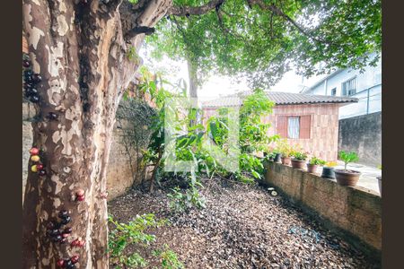 Área Externa de casa para alugar com 3 quartos, 254m² em Jardim Ivana, São Paulo