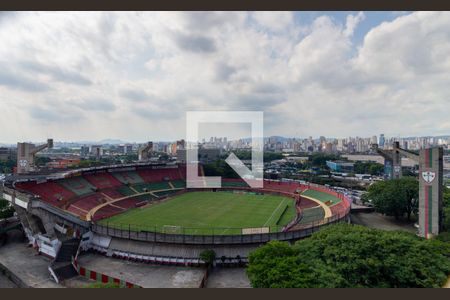 Vista - Quarto 1 de apartamento para alugar com 2 quartos, 38m² em Canindé, São Paulo