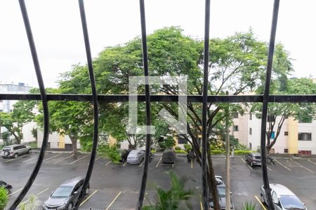 Vista da sala  de apartamento à venda com 3 quartos, 62m² em Aarão Reis, Belo Horizonte