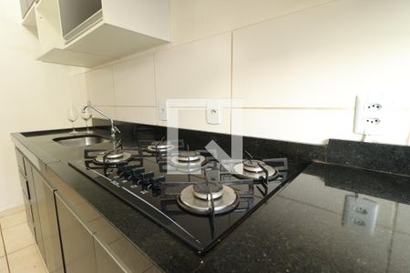 Cozinha de apartamento para alugar com 2 quartos, 42m² em Antonio Marincek, Ribeirão Preto