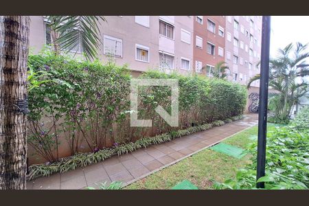 Vista da Sala de apartamento para alugar com 1 quarto, 34m² em Vila Leopoldina, São Paulo