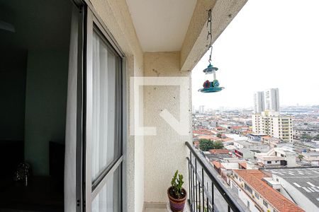 Varanda da Sala de apartamento para alugar com 3 quartos, 60m² em Vila Antonieta, São Paulo