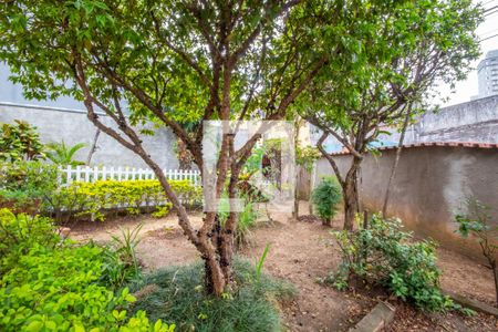 Casa à venda com 229m², 3 quartos e 3 vagas Casa à venda com 229m², 3 quartos e 3 vagasJardim