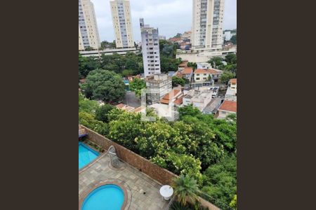 Apartamento à venda com 3 quartos, 90m² em Vila Ipojuca, São Paulo