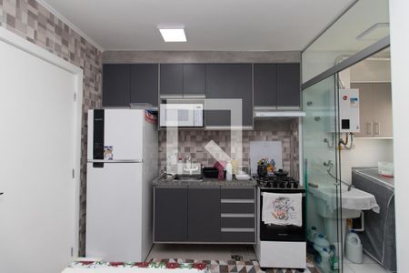 Cozinha e Área de Serviço de apartamento para alugar com 2 quartos, 46m² em Parque Vitoria, São Paulo