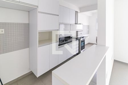 Cozinha - Armários de apartamento para alugar com 2 quartos, 83m² em Cidade Nova Ii, Indaiatuba