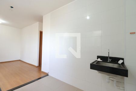 Cozinha de apartamento para alugar com 2 quartos, 44m² em Chácaras Hipica, Ribeirão Preto