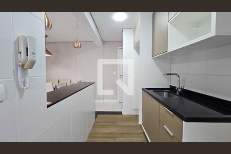 Cozinha de apartamento para alugar com 2 quartos, 60m² em Vila Castelo, São Paulo