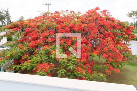 Casa de condomínio para alugar com 520m², 4 quartos e 6 vagas Casa de condomínio para alugar com 520m², 4 quartos e 6 vagasVista da Suíte 4