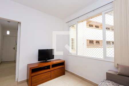 Sala de apartamento à venda com 1 quarto, 47m² em Vila Santana, São Paulo