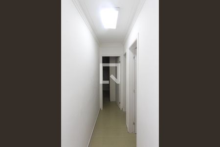 Corredor de apartamento para alugar com 3 quartos, 63m² em Jardim Vila Formosa, São Paulo