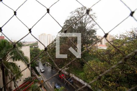 Vista do Quarto 1 de apartamento para alugar com 2 quartos, 70m² em Barro Branco (zona Norte), São Paulo