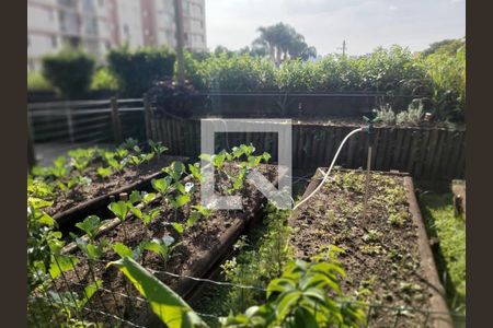 Foto 05 de apartamento à venda com 2 quartos, 65m² em Vila Vasconcelos, São Paulo