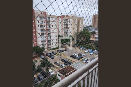 Foto 07 de apartamento à venda com 3 quartos, 70m² em Vila Vasconcelos, São Paulo